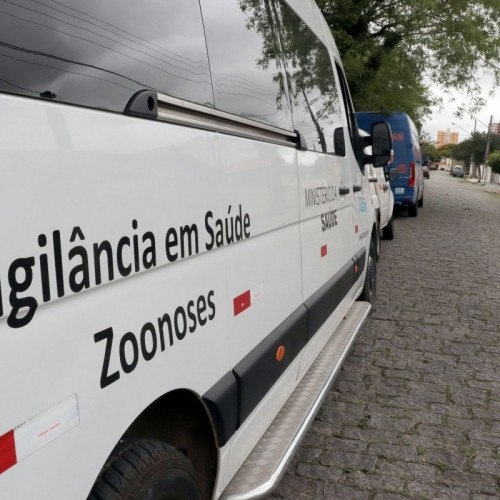 Zoonose reforça ações contra o Aedes aegypti no município