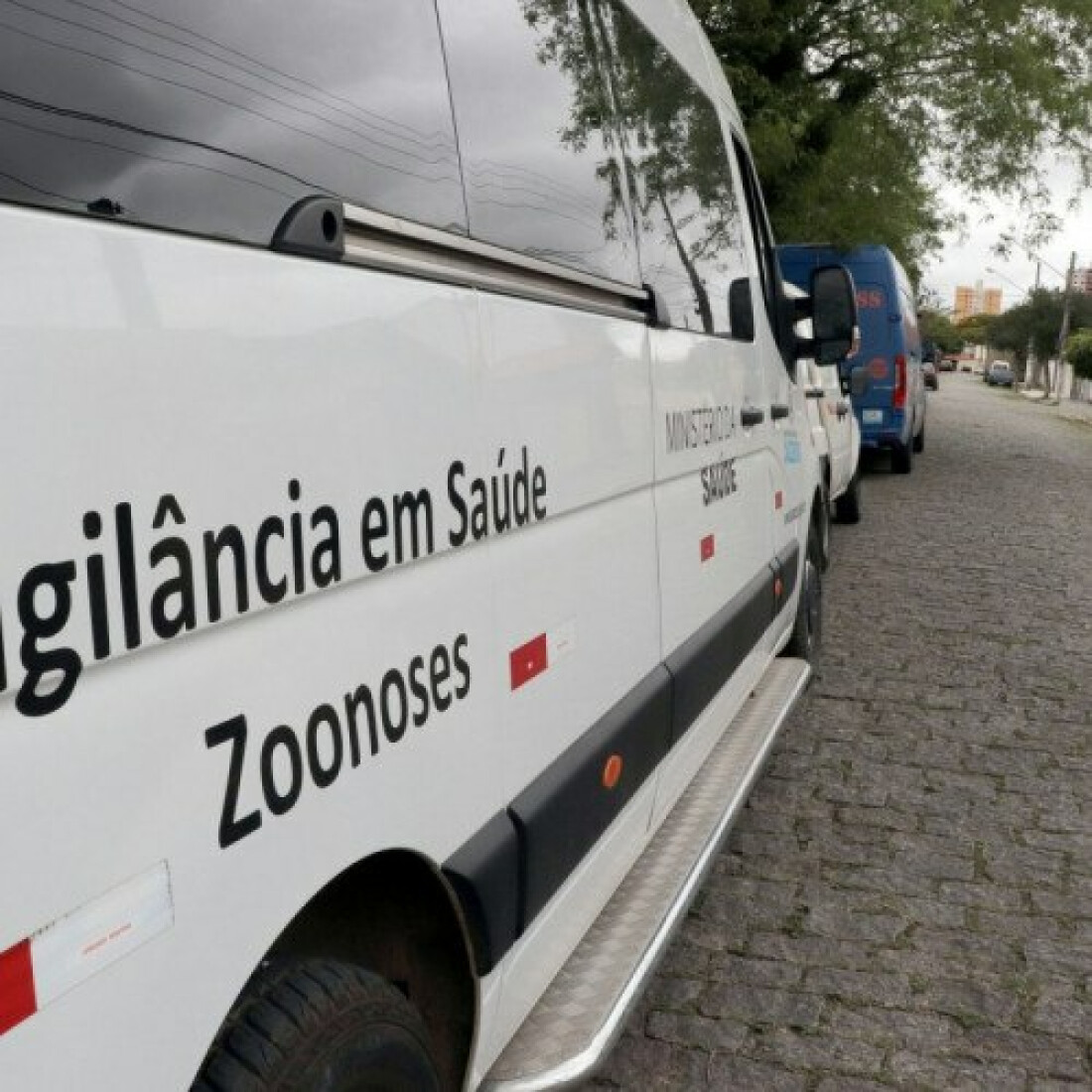 Zoonose reforça ações contra o Aedes aegypti no município