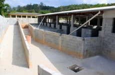 Centro de Bem Estar Animal fica pronto em agosto