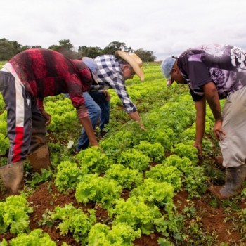 Doação de alimentos