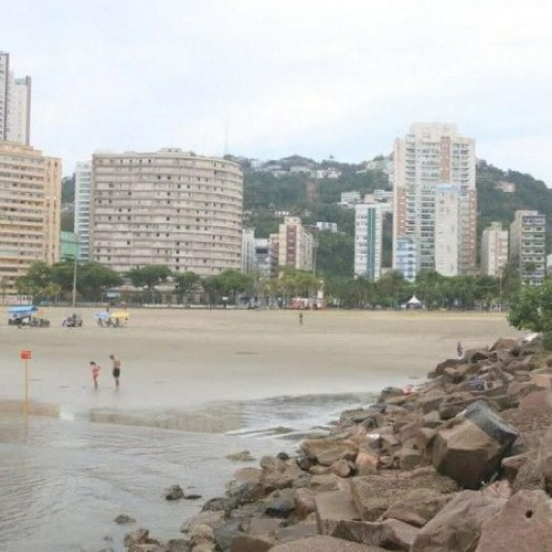 Começa a valer em Santos lei que permite cachorros na praia