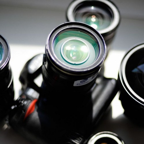 Hoje é Dia: datas da semana celebram leitores e fotógrafos