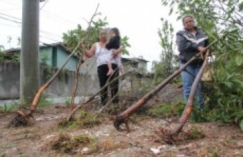 Retirada de jardim irrita comunidade