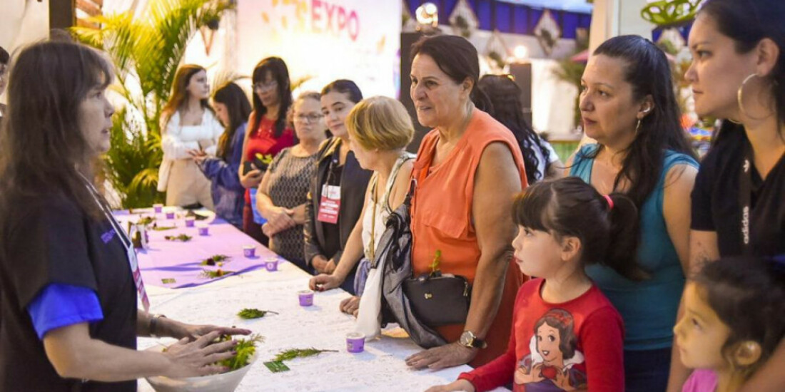 Cultura promoverá oficinas na Festa da Cerejeira
