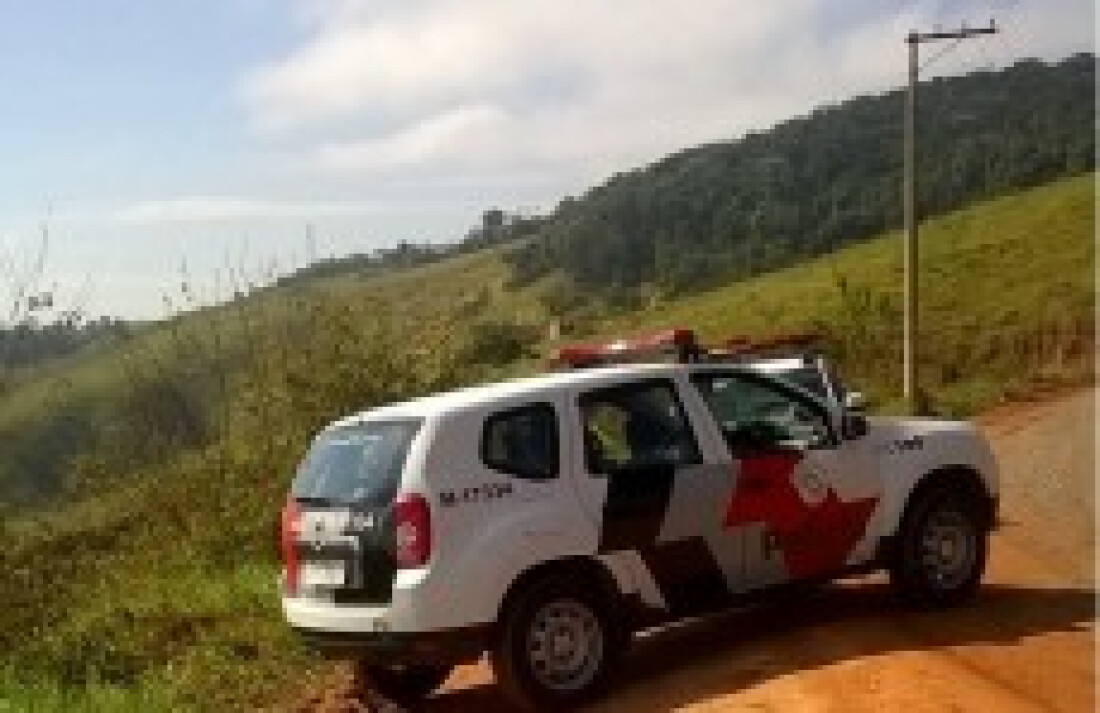 PM detém suspeito de matar e esquartejar cães