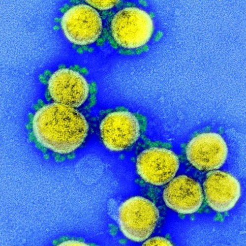 Brasil tem 32 casos confirmados da variante Ômicron