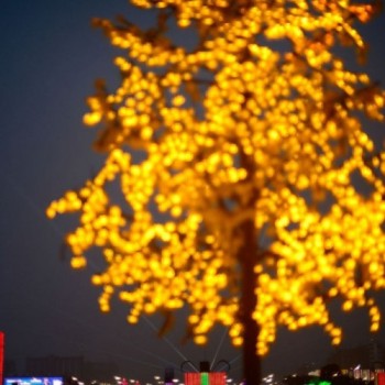 Brasília Iluminada abre celebrações de fim de ano na capital federal