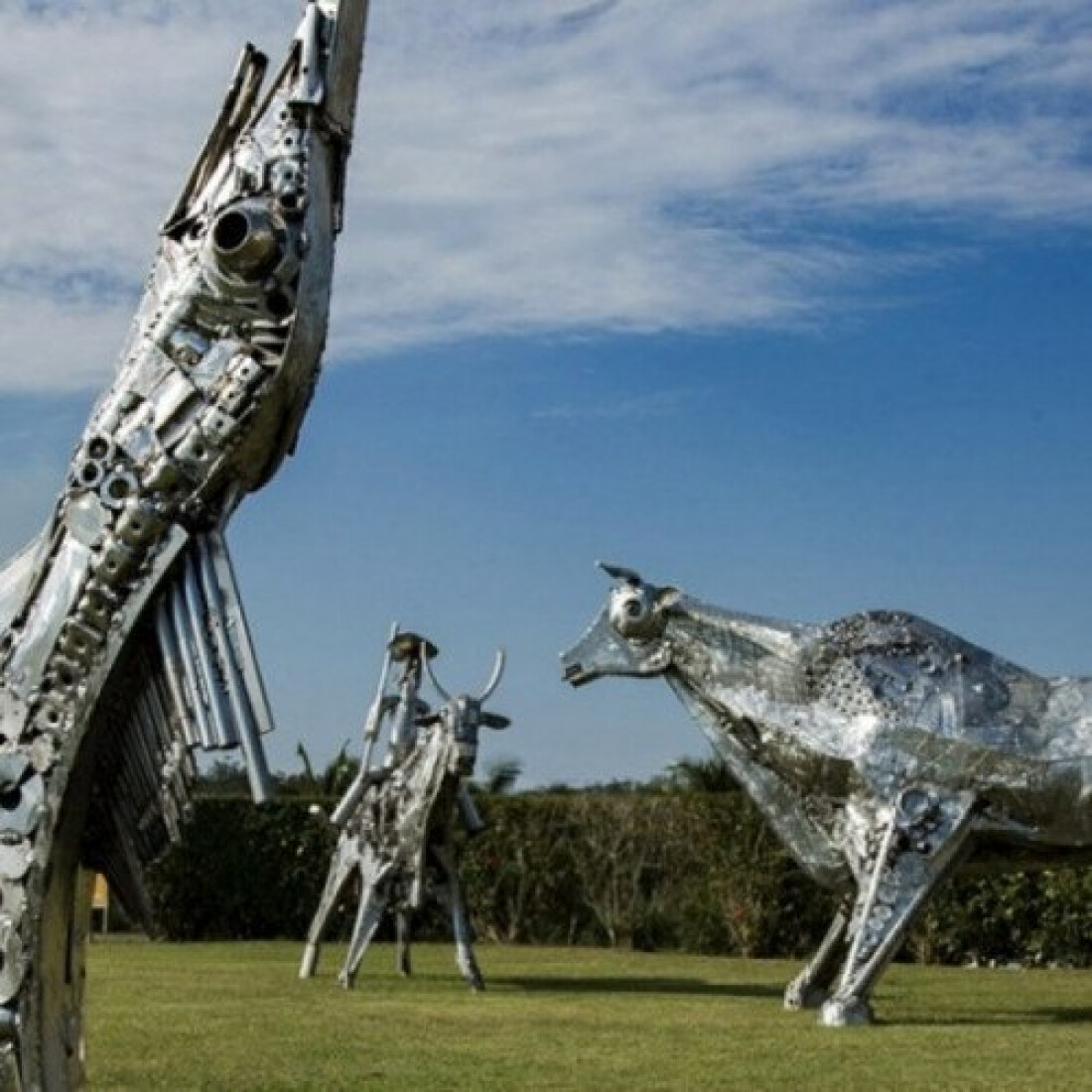 Centenário recebe exposição do artista Lúcio Bittencourt