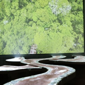 Museu do Amanhã apresenta a visitantes maior bioma tropical do mundo