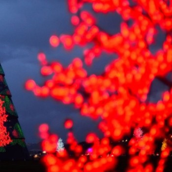 Hoje é Dia: Natal e solstício de verão são destaques