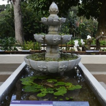 Jardim Botânico do Rio reajusta valores de ingressos
