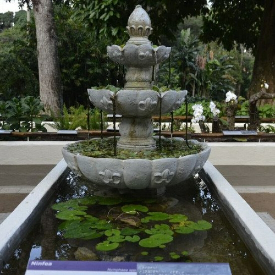 Jardim Botânico do Rio reajusta valores de ingressos