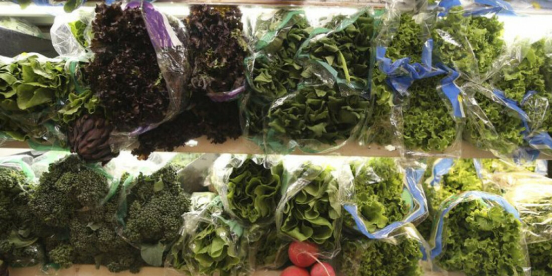 Sindicato Rural estima queda no preço de hortaliças