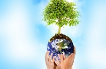 Dia Mundial do Meio Ambiente