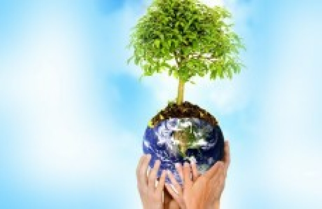 Dia Mundial do Meio Ambiente