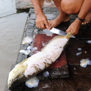 Programa assistencial de Furnas cadastra pescadores em Minas Gerais
