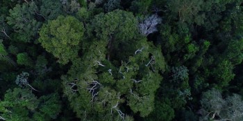 Terras indígenas ajudam a evitar casos de doenças respiratórias