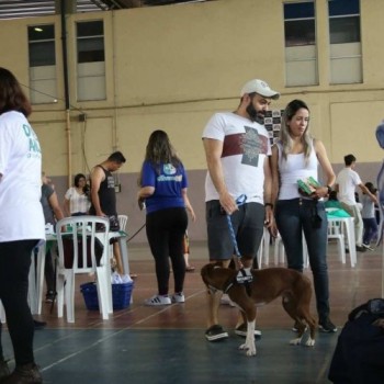 Evento busca conscientização sobre maus tratos de animais