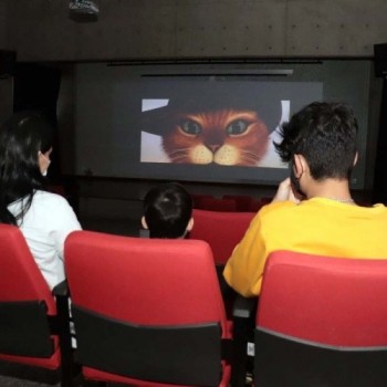 Cultura prepara últimas sessões do ano no Cineteatro