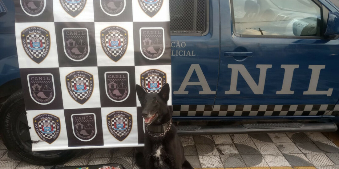 Canil da GCM apreende meio quilo de drogas no Miguel Badra