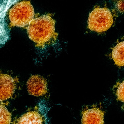 Rio Grande do Sul confirma caso de infecção pela variante Ômicron