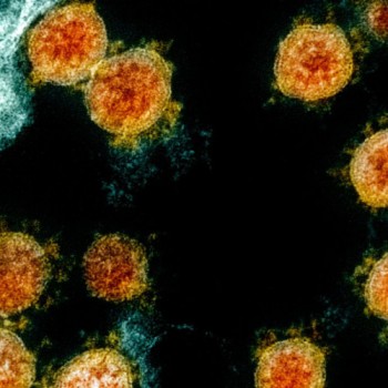 Rio Grande do Sul confirma caso de infecção pela variante Ômicron