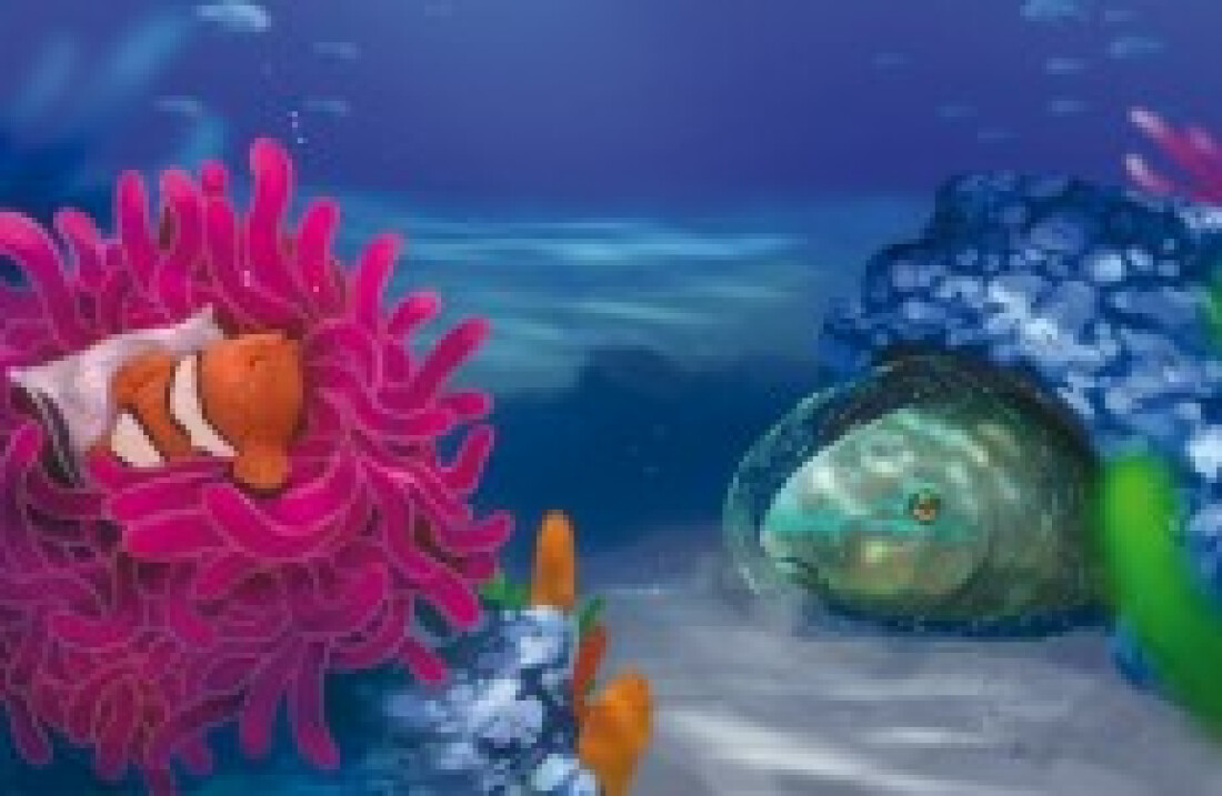 Como os peixes dormem?