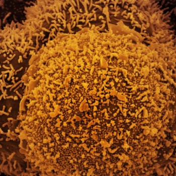País segue tendência estável de transmissão da covid-19