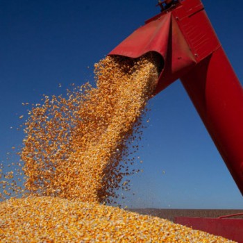 Balança comercial tem déficit de US$ 1,3 bi em novembro