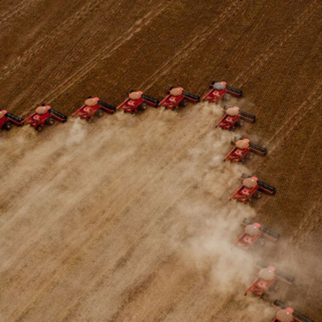 Ipea crê em cenário positivo para a produção agricola em 2022