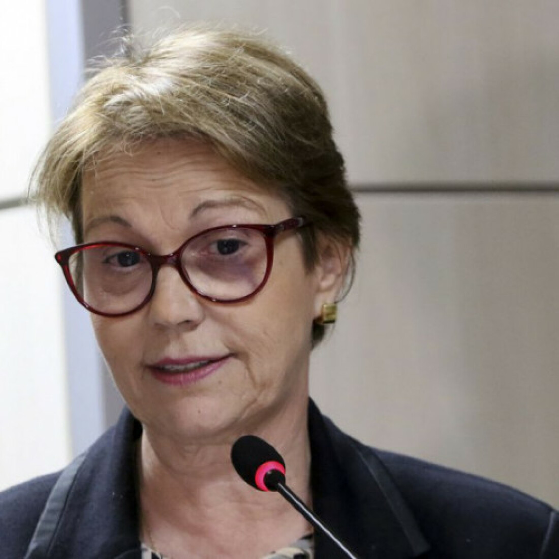 Ministra: pecuária tem papel fundamental na agenda climática mundial