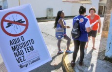 Brigadas contra a dengue serão criadas