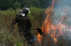 Decreto proíbe queima ao ar livre
