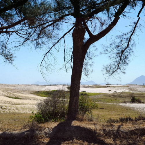 Decisão do STJ impede obra de resort em restinga de Maricá no Rio