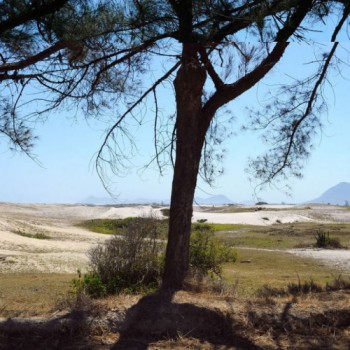 Decisão do STJ impede obra de resort em restinga de Maricá no Rio