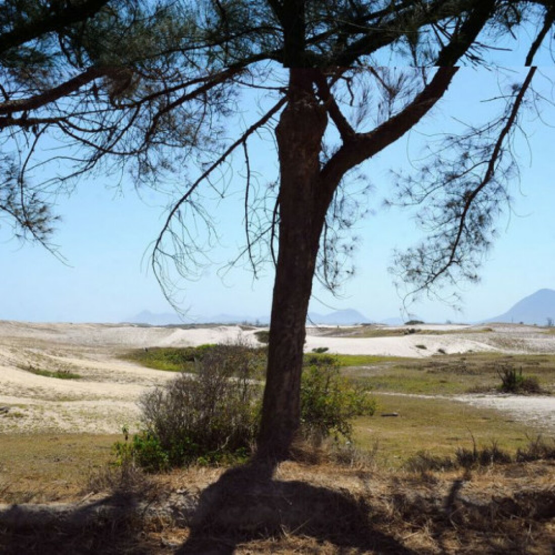 Decisão do STJ impede obra de resort em restinga de Maricá no Rio
