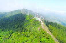 SOS Mata Atlântica executa projeto para Serra do Itapeti