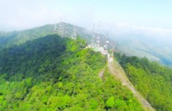 SOS Mata Atlântica executa projeto para Serra do Itapeti