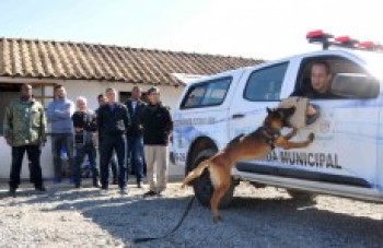 Mamoru inaugura canil no domingo