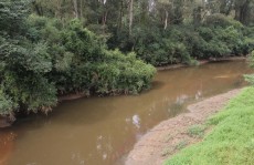 Desassoreamento do Tietê segue sem prazo