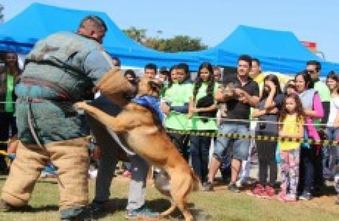 Canil é inaugurado no Parque Ecológico