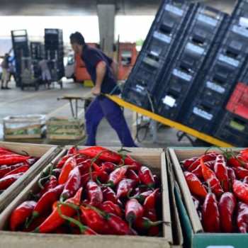 Mapa: 89% dos vegetais comercializados são seguros para consumo