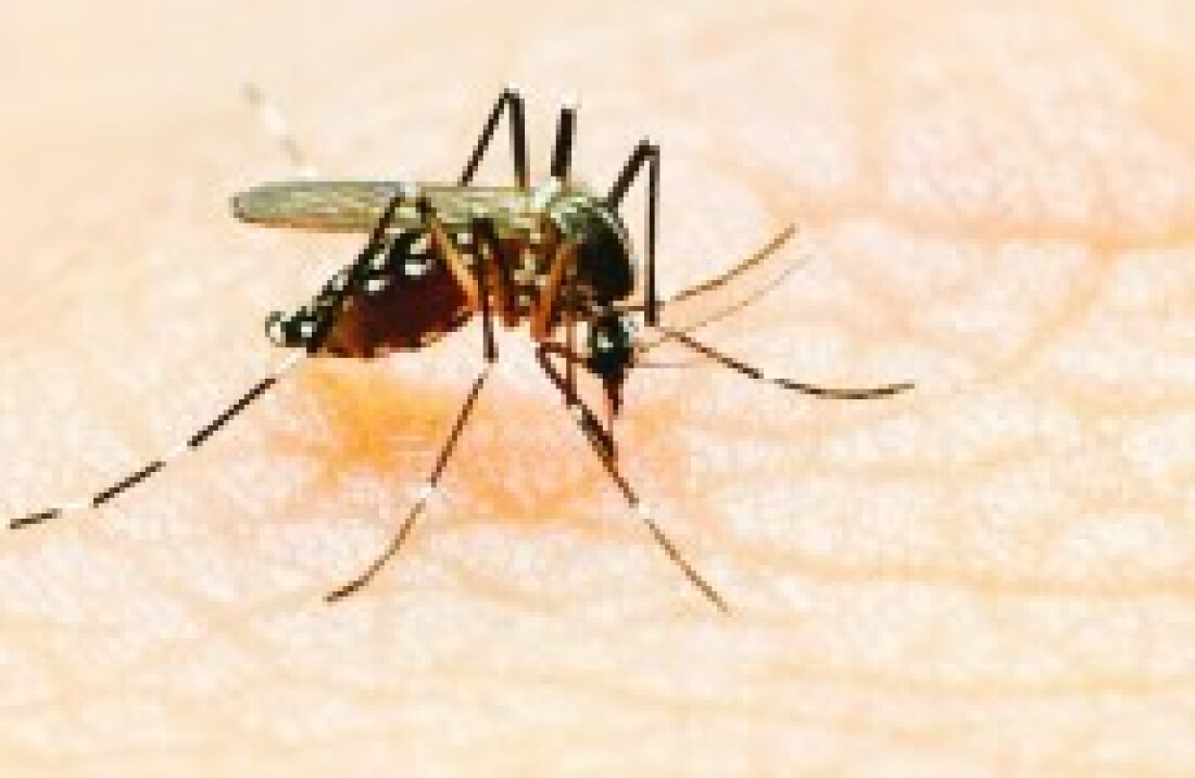 Região registra primeiro caso confirmado de zika em 2016