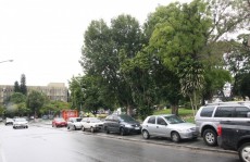 Homem rouba celular de policial e é preso