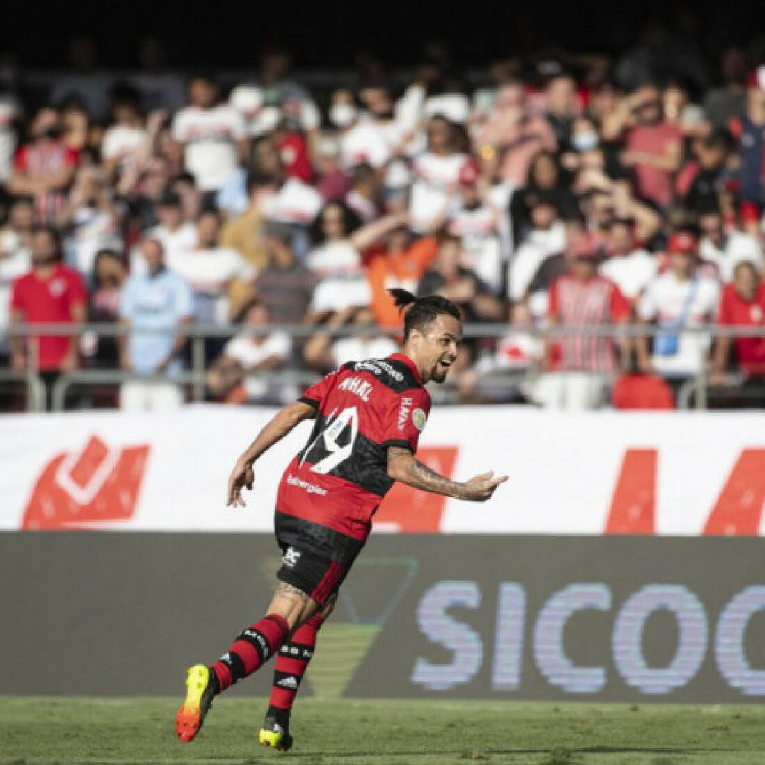 Flamengo passeia no Morumbi e goleia São Paulo por 4 a 0 no Brasileiro