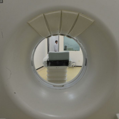 O que é mieloma múltiplo, causa da morte da jornalista Cristiana Lobo