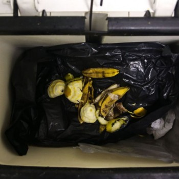 Agência Brasil explica como fazer compostagem de resíduos orgânicos