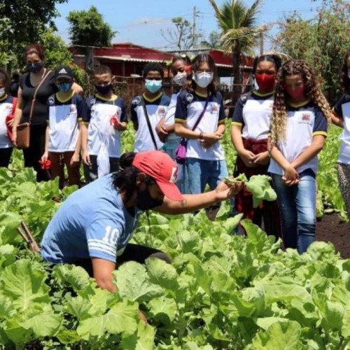 Agricultores mostram produção para estudantes