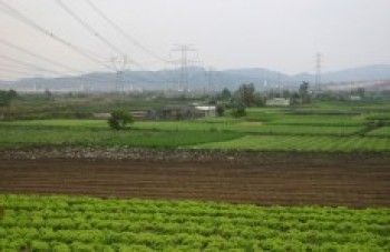 Gondim tenta barrar no Incra perda de terras de produtores