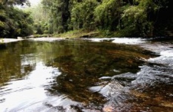 Ecofuturo e Estado se unem para incentivar preservação